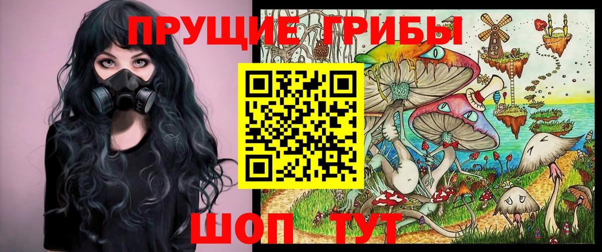 Гагарин  Галлюциногенные грибы мицелий  купить наркотики сайты  Галлюциногенные грибы мухоморы  Вход с VPN 