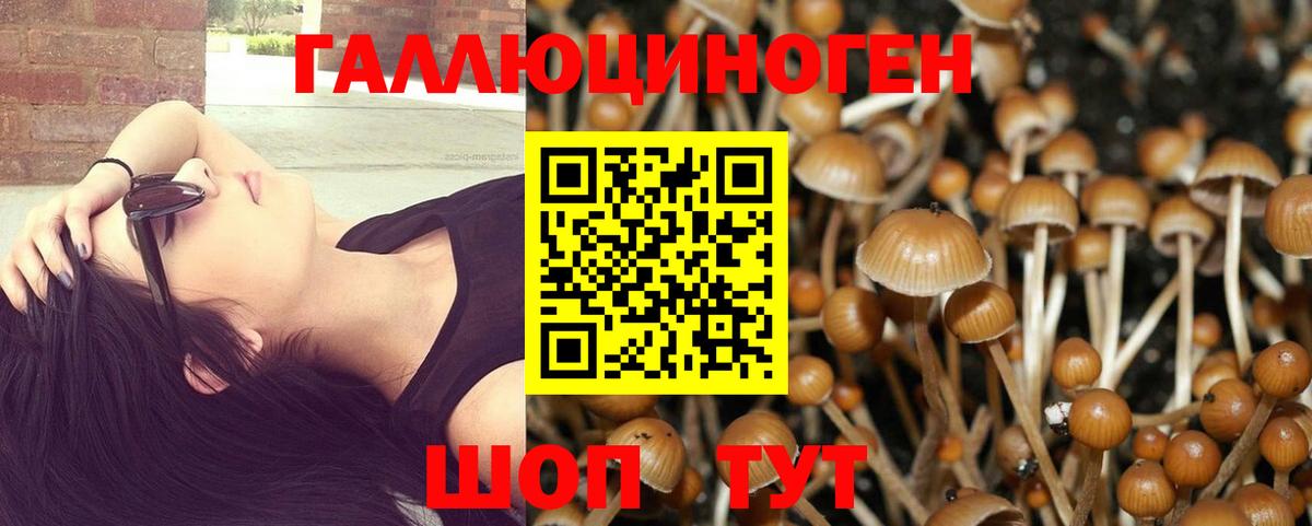 Галлюциногенные грибы GOLDEN TEACHER Гагарин